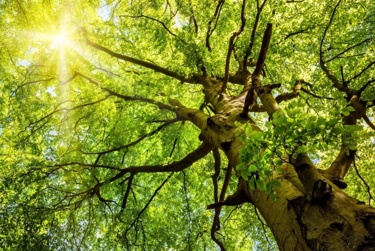 Sustainability Analytics & ESG Data