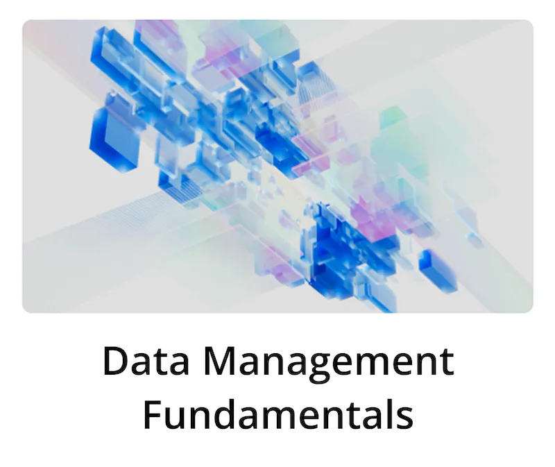 Cover Data Management Foundamentals course
