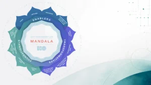Data Management Lab Mandala: the Embrace Transformation framework for growing in data management